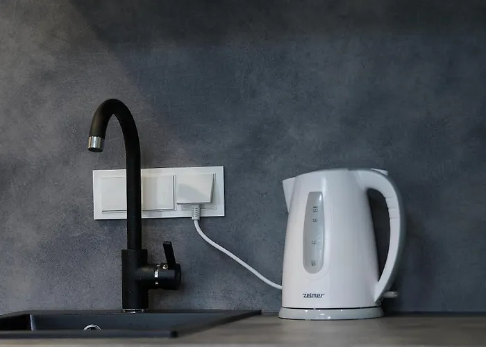 Cozy Visit, Balcony, 24h Self Check-in, First Floor, Great Location Apartman Kaunas